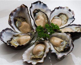 Tathra Oysters - Nambucca Heads Accommodation 0
