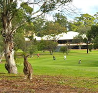 Pambula Merimbula Golf Club - Nambucca Heads Accommodation