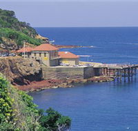 Merimbula Aquarium - Nambucca Heads Accommodation