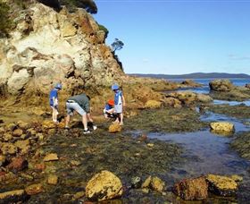 Sapphire Coast Marine Discovery Centre - Nambucca Heads Accommodation 0