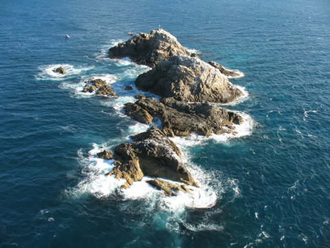 Cape Byron Marine Park - Nambucca Heads Accommodation 1