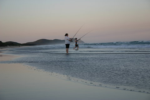 Cape Byron Marine Park - Nambucca Heads Accommodation 2