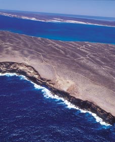 Zuytdorp Cliffs - Nambucca Heads Accommodation 1
