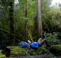 The Tarkine Drive - Nambucca Heads Accommodation