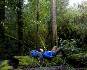 The Tarkine Drive - Nambucca Heads Accommodation 0