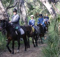 Mirravale Horse Riding School - Nambucca Heads Accommodation