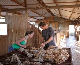 Peron Homestead - Nambucca Heads Accommodation 0