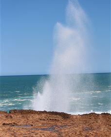 Blowholes And Point Quobba - Nambucca Heads Accommodation 0