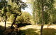 Oldina Picnic Area - thumb 0