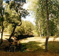 Oldina Picnic Area - Nambucca Heads Accommodation