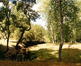 Oldina Picnic Area - Nambucca Heads Accommodation 0