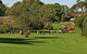 Richard Gutteridge Gardens - thumb 3