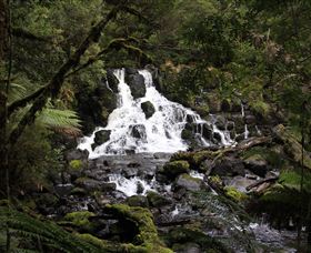 Hellyer Gorge - Nambucca Heads Accommodation 2