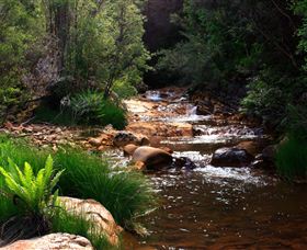 Hellyer Gorge - Nambucca Heads Accommodation 1