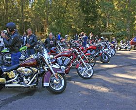 Hellyer Gorge - Nambucca Heads Accommodation 3