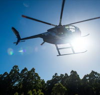 Tall Timbers Adventure Tours - Nambucca Heads Accommodation