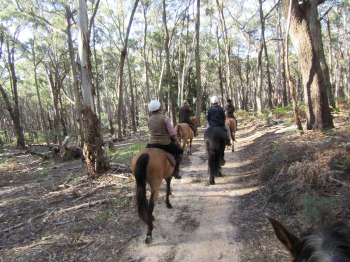 Spring Hill VIC Nambucca Heads Accommodation