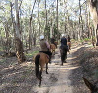 Silver Brumby Trails - Nambucca Heads Accommodation