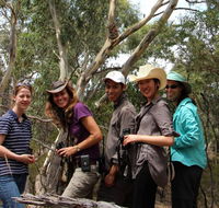 Echidna Walkabout Nature Tours - Nambucca Heads Accommodation