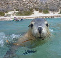Calypso Star Charters - Nambucca Heads Accommodation