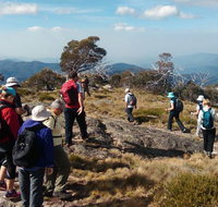 Hedonistic Hiking - Nambucca Heads Accommodation