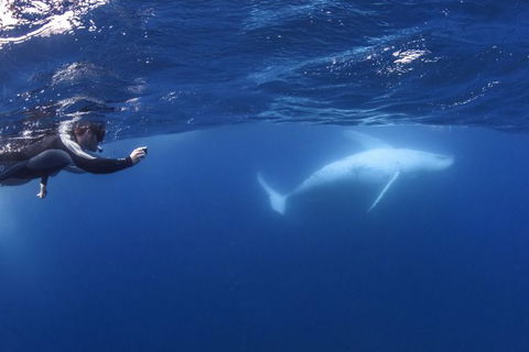 Sunreef Mooloolaba - Nambucca Heads Accommodation 2