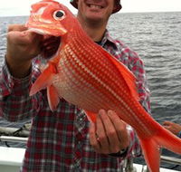 Goin' Off Safaris - Nambucca Heads Accommodation