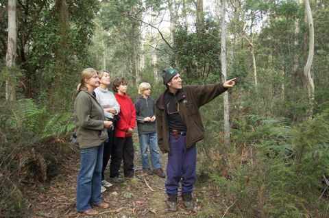 Great Western Tiers Forest Walks Tasmania - Nambucca Heads Accommodation 0