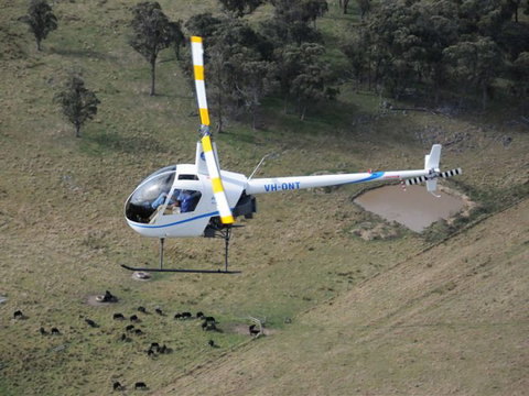 Fleet Adventures - Nambucca Heads Accommodation 19