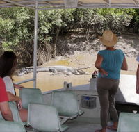 Whitsunday Crocodile Safari - Nambucca Heads Accommodation