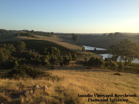 Scott & La Prova - Nambucca Heads Accommodation 1