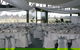 Taree-Wingham Race Club - thumb 2