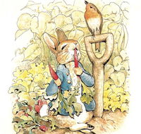 Mount Isa Civic Centre - Nambucca Heads Accommodation