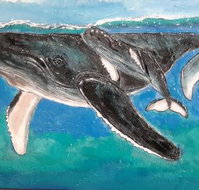 Kaz Art-Whitewash Gallery - Nambucca Heads Accommodation