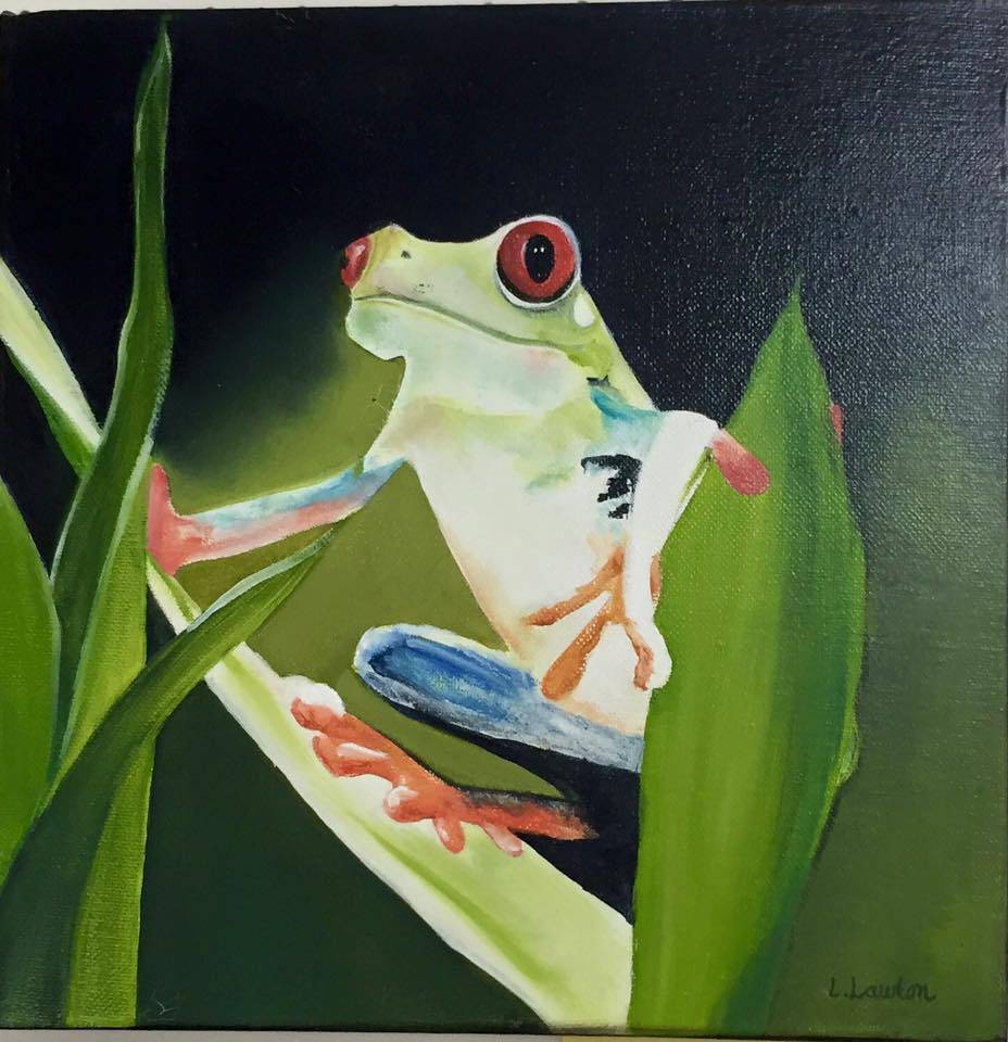 Gorokan NSW Nambucca Heads Accommodation