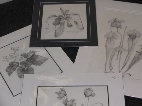 Masterpiece Framing & Gallery - Nambucca Heads Accommodation 2