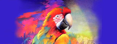 Tina Cooper Gallery - Nambucca Heads Accommodation 2