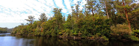 A R Reflections River Cruises - Nambucca Heads Accommodation 0
