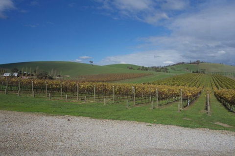 Wine Compass - Nambucca Heads Accommodation 1