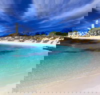 Rottnest Island Grand Tour Including Lunch and Historical Train Ride - Nambucca Heads Accommodation
