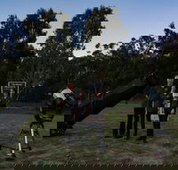 Stargazing Busselton with Mobile Observatory - Nambucca Heads Accommodation