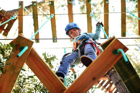 Trees Adventure Lane Poole Park - Treetop & Zipline Experience - Nambucca Heads Accommodation 1