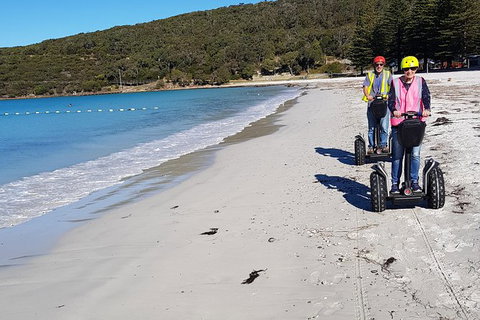 Albany Summit To Sea Adventure - Guided Segway Tour - Nambucca Heads Accommodation 3