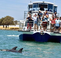 Mandurah Dolphin and Scenic Marine Cruise - Nambucca Heads Accommodation