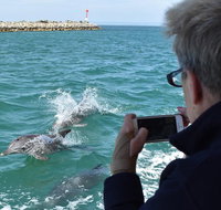 Mandurah Dolphin Island Adventure - Nambucca Heads Accommodation