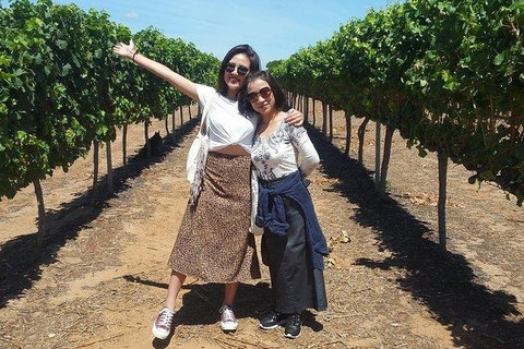 VIP Swan Valley Wine Tour - Premium Small Group Wine & Gourmet Experience - Nambucca Heads Accommodation 3