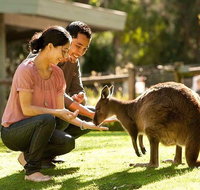 Very Best of Perth Tour - Wildlife Park  City Highlights Tour - Nambucca Heads Accommodation