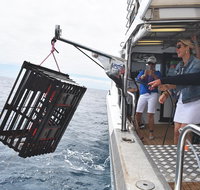 Rottnest Island Wild Seafood Package from Perth with Transfer - Nambucca Heads Accommodation