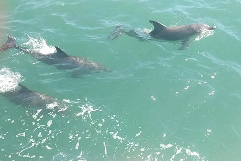 Pirate Ship Lunch Cruise (1.5hr) - Nambucca Heads Accommodation 8