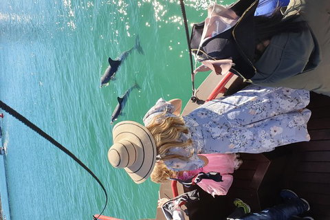 Pirate Ship Lunch Cruise (1.5hr) - Nambucca Heads Accommodation 7